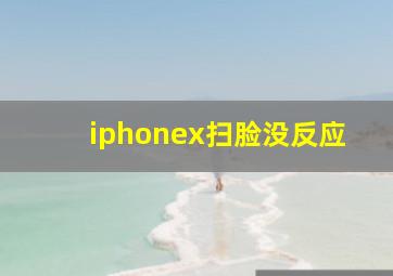 iphonex扫脸没反应