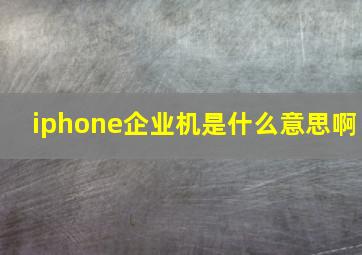 iphone企业机是什么意思啊