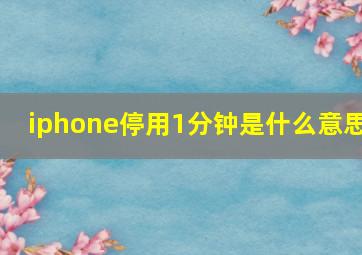 iphone停用1分钟是什么意思