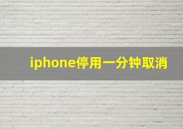 iphone停用一分钟取消