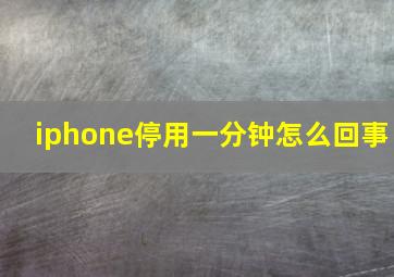 iphone停用一分钟怎么回事