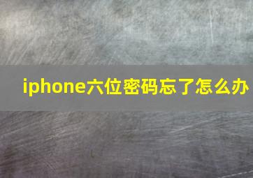 iphone六位密码忘了怎么办