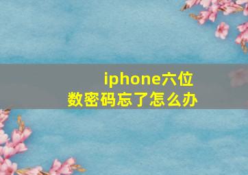 iphone六位数密码忘了怎么办