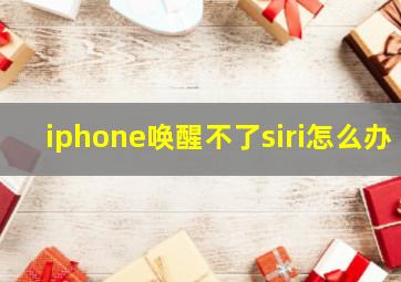 iphone唤醒不了siri怎么办