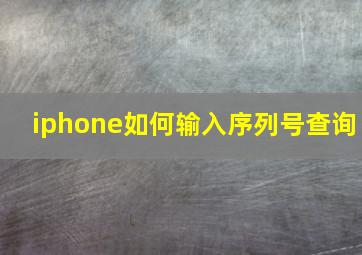 iphone如何输入序列号查询