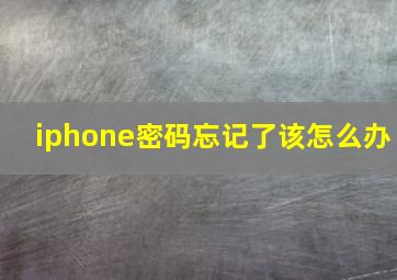 iphone密码忘记了该怎么办