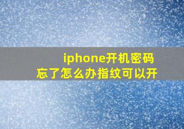 iphone开机密码忘了怎么办指纹可以开