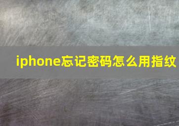 iphone忘记密码怎么用指纹