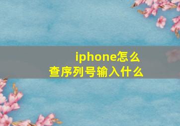 iphone怎么查序列号输入什么