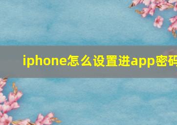 iphone怎么设置进app密码