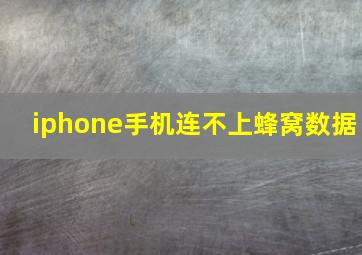 iphone手机连不上蜂窝数据