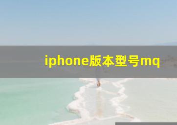 iphone版本型号mq