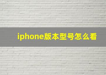 iphone版本型号怎么看