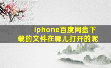 iphone百度网盘下载的文件在哪儿打开的呢