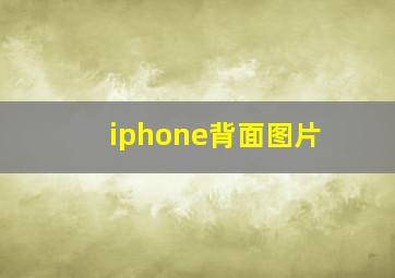 iphone背面图片