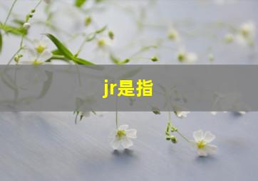 jr是指