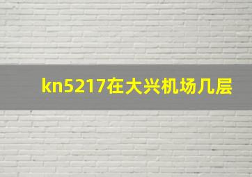 kn5217在大兴机场几层