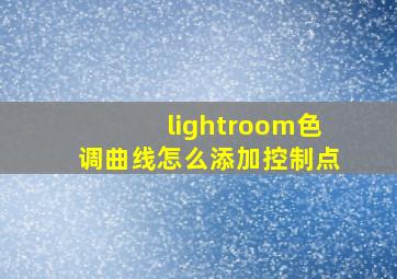 lightroom色调曲线怎么添加控制点