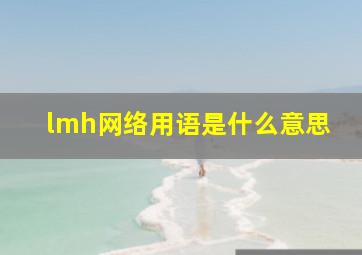 lmh网络用语是什么意思