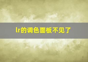 lr的调色面板不见了