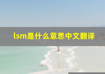 lsm是什么意思中文翻译