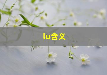 lu含义