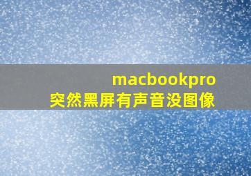 macbookpro突然黑屏有声音没图像