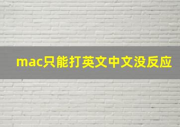 mac只能打英文中文没反应