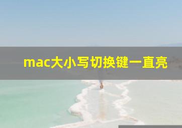 mac大小写切换键一直亮