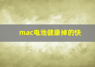 mac电池健康掉的快