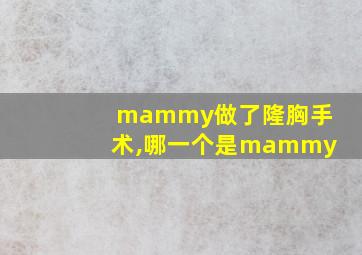 mammy做了隆胸手术,哪一个是mammy