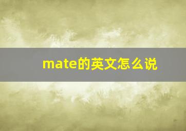 mate的英文怎么说