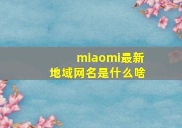 miaomi最新地域网名是什么啥