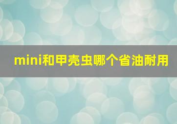 mini和甲壳虫哪个省油耐用