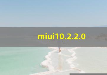 miui10.2.2.0