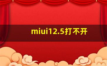 miui12.5打不开