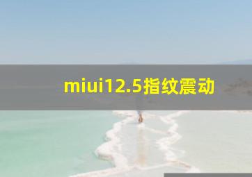 miui12.5指纹震动