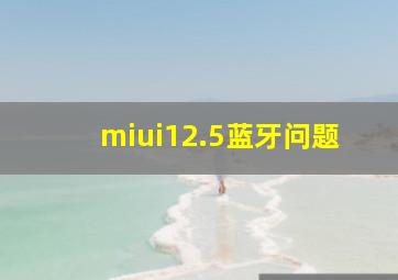 miui12.5蓝牙问题