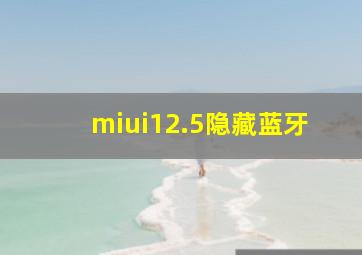 miui12.5隐藏蓝牙