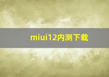 miui12内测下载