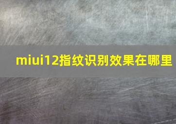 miui12指纹识别效果在哪里