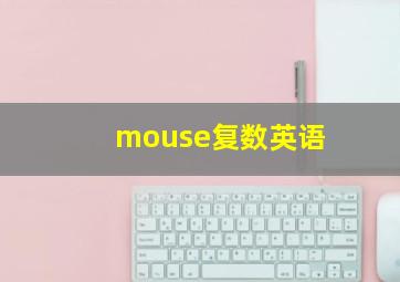 mouse复数英语