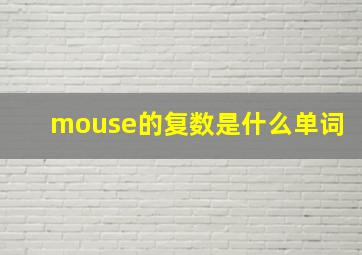 mouse的复数是什么单词