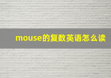 mouse的复数英语怎么读