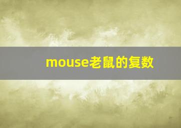 mouse老鼠的复数