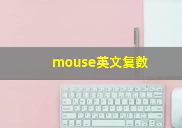 mouse英文复数