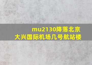 mu2130降落北京大兴国际机场几号航站楼