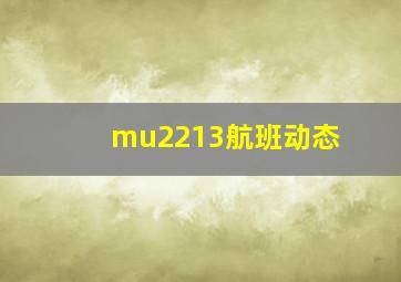 mu2213航班动态