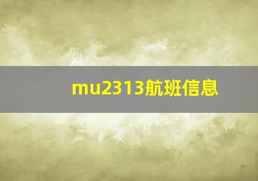 mu2313航班信息