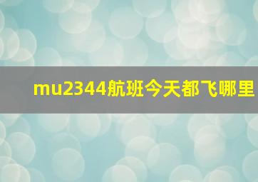 mu2344航班今天都飞哪里